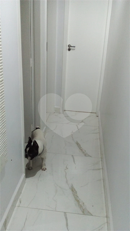 Apartamento Pirituba