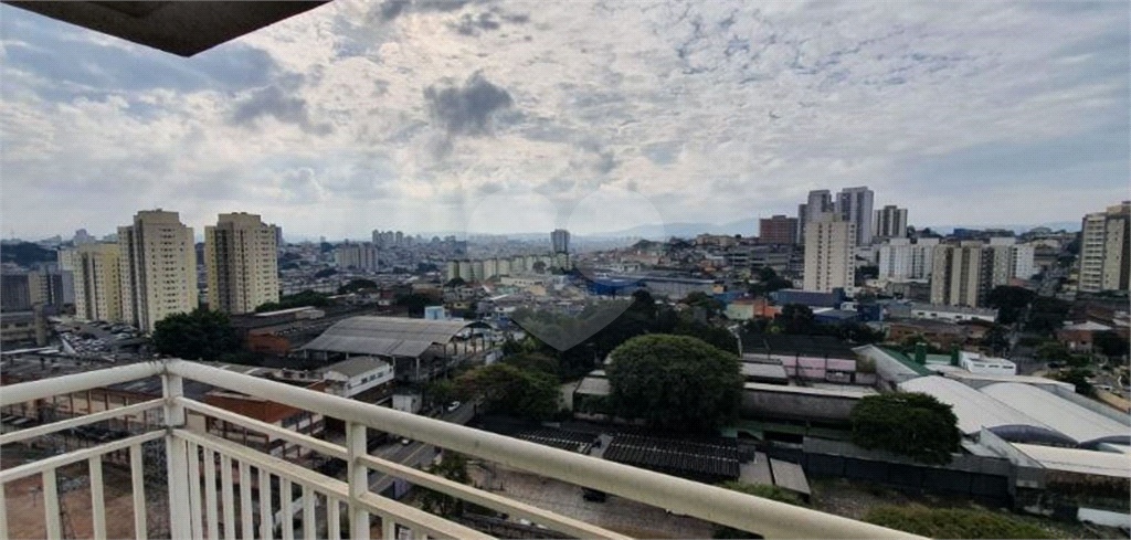 SALAS em LIMÃO