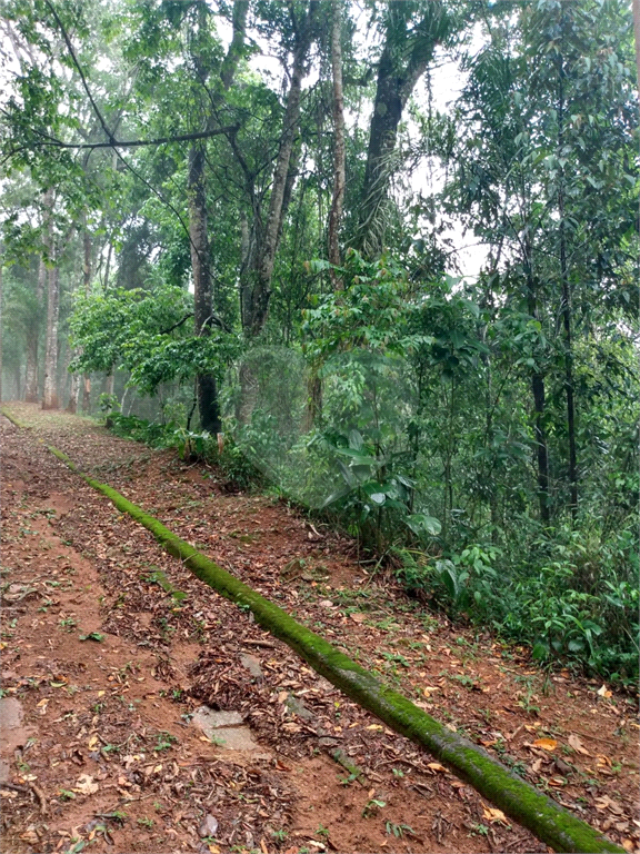 Terreno à venda, 2035m² - Foto 12