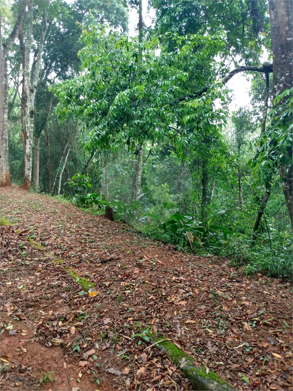 Terreno à venda, 2035m² - Foto 11