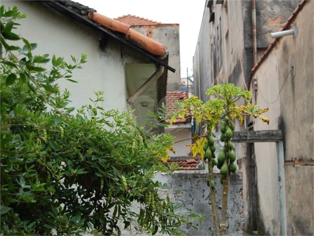 AMPLO TERRENO PRA VENDA EM AVENIDA MOVIMENTADA
