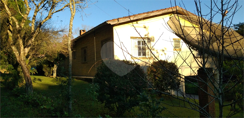 Sítio à venda com 5 quartos, 500m² - Foto 38