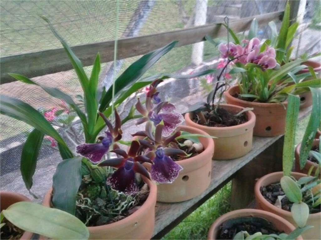 Chácara à venda com 3 quartos, 120m² - Foto 12