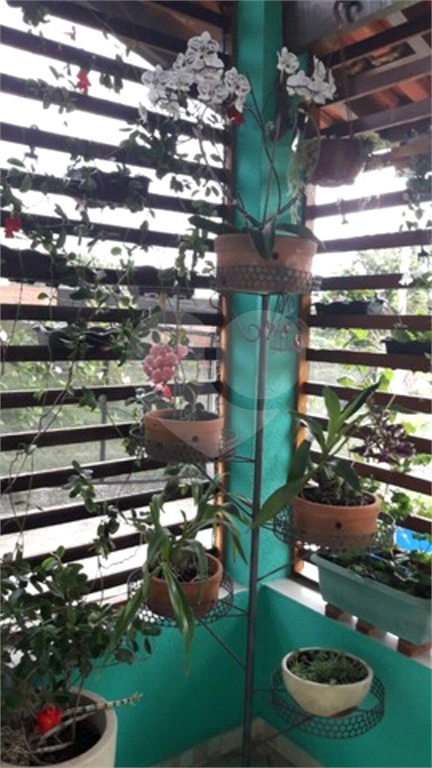 Chácara à venda com 3 quartos, 120m² - Foto 13