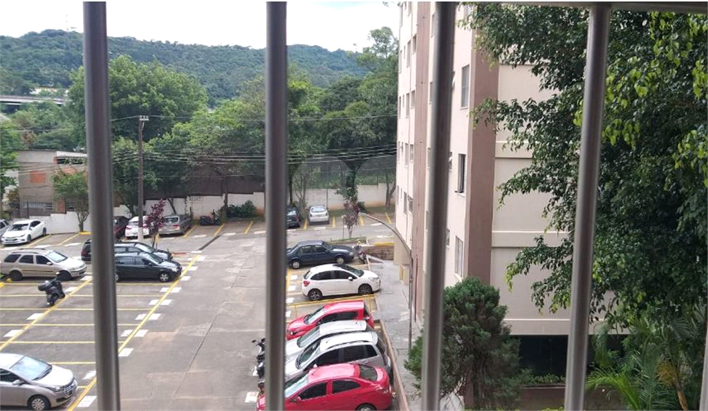 APARTAMENTO em HORTO