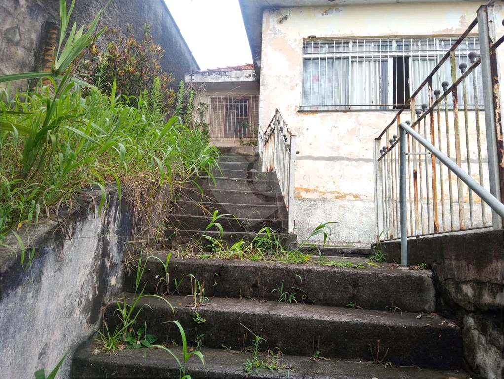 Terrena na Zona Leste Penha