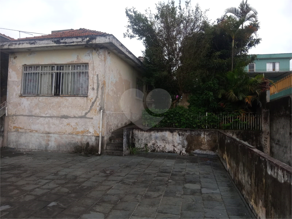 Terrena na Zona Leste Penha