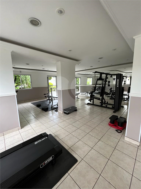 Alto do Mandaqui Lindo Apartamento Travessa da Avenida Santa Inês Amplo e com uma Excelente Planta