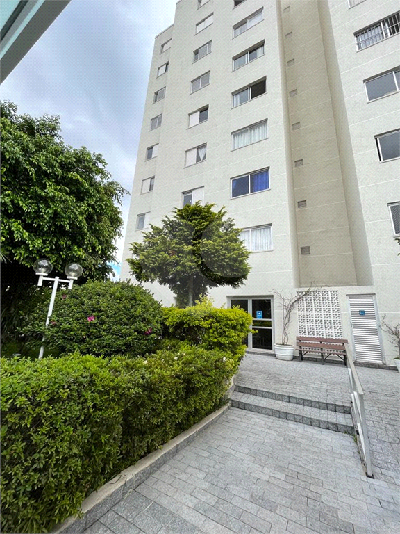 Alto do Mandaqui Lindo Apartamento Travessa da Avenida Santa Inês Amplo e com uma Excelente Planta