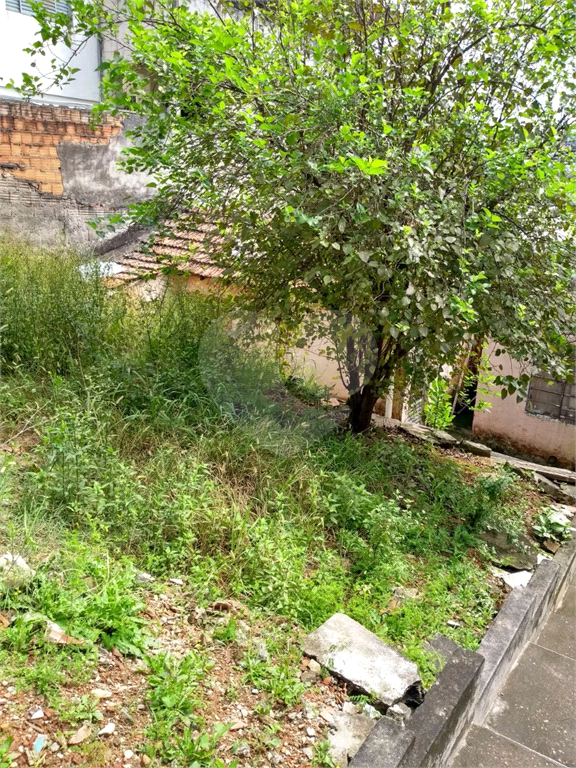 TERRENO COM UMA CASA QUE PRECISA DE REFORMA