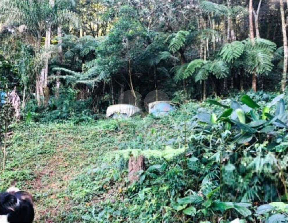 chacara mairiporã