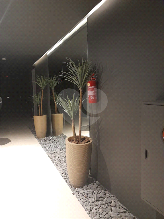 APARTAMENTO em LAPA