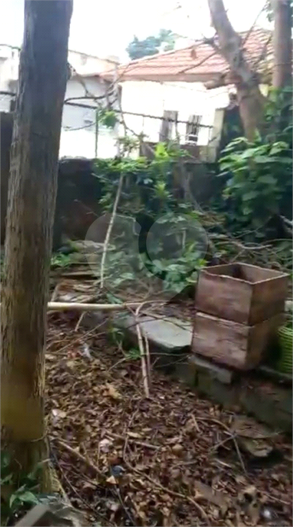 AMPLO TERRENO SA SANTA TERESINHA 