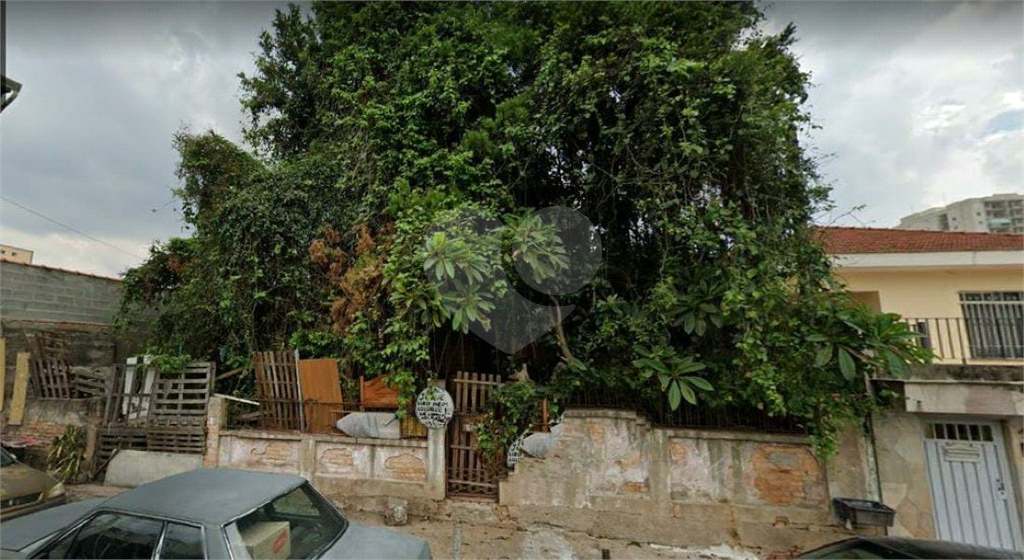 AMPLO TERRENO SA SANTA TERESINHA 