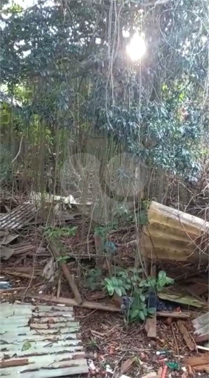 AMPLO TERRENO SA SANTA TERESINHA 
