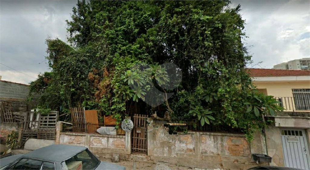 AMPLO TERRENO SA SANTA TERESINHA 