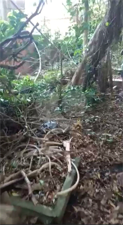 AMPLO TERRENO SA SANTA TERESINHA 
