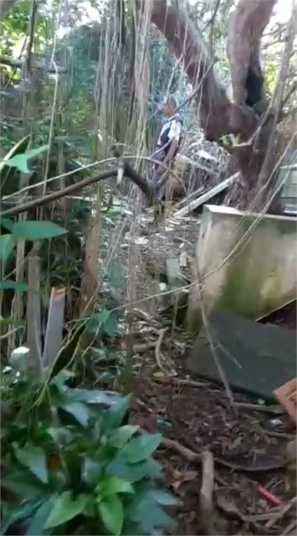 AMPLO TERRENO SA SANTA TERESINHA 