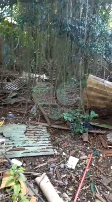 AMPLO TERRENO SA SANTA TERESINHA 