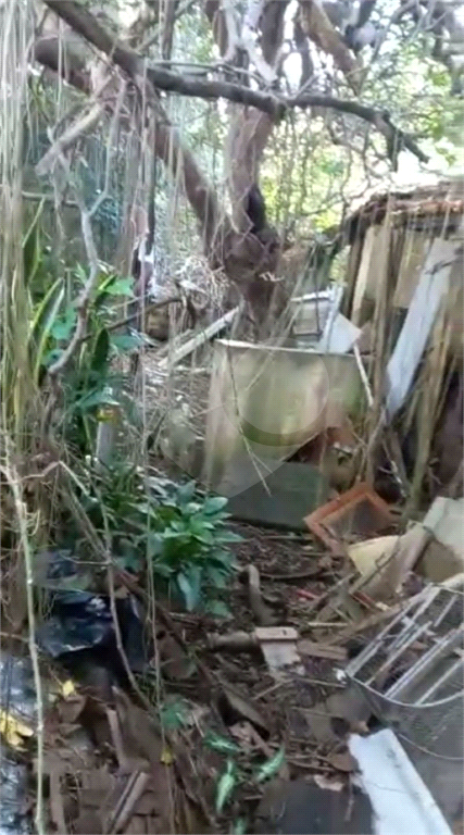 AMPLO TERRENO SA SANTA TERESINHA 