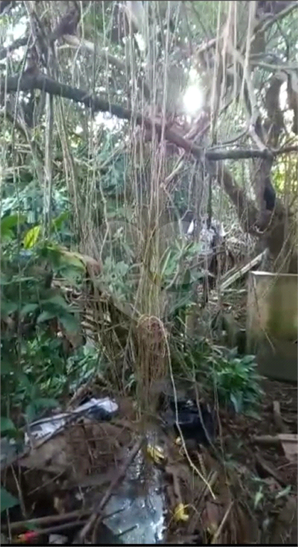 AMPLO TERRENO SA SANTA TERESINHA 