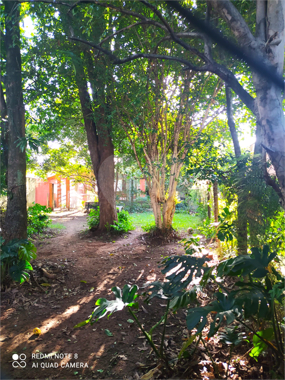 Fazenda à venda com 3 quartos, 250m² - Foto 6