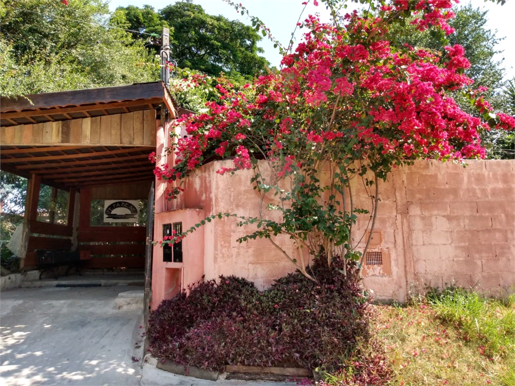 Fazenda à venda com 3 quartos, 250m² - Foto 3