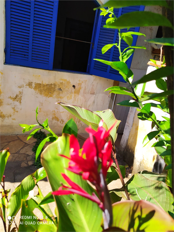 Fazenda à venda com 3 quartos, 250m² - Foto 14