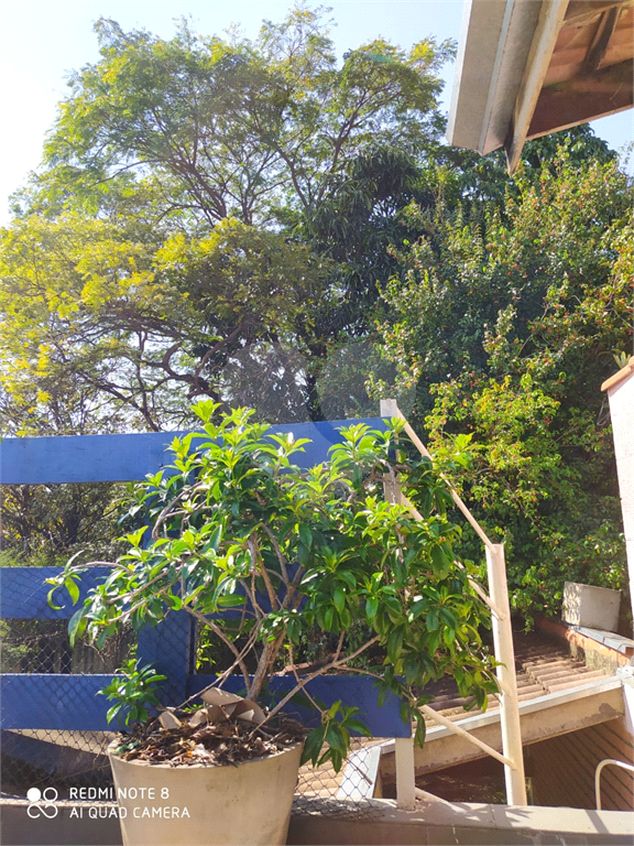Fazenda à venda com 3 quartos, 250m² - Foto 35