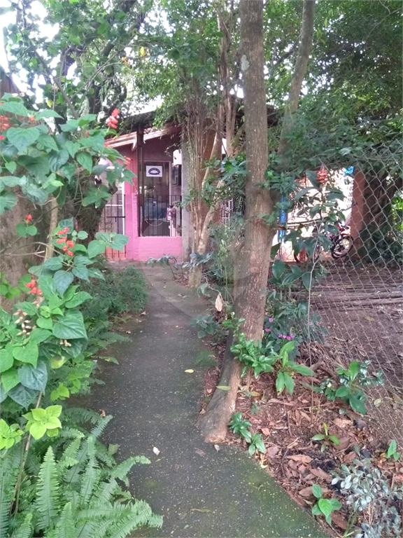 Fazenda à venda com 3 quartos, 250m² - Foto 24