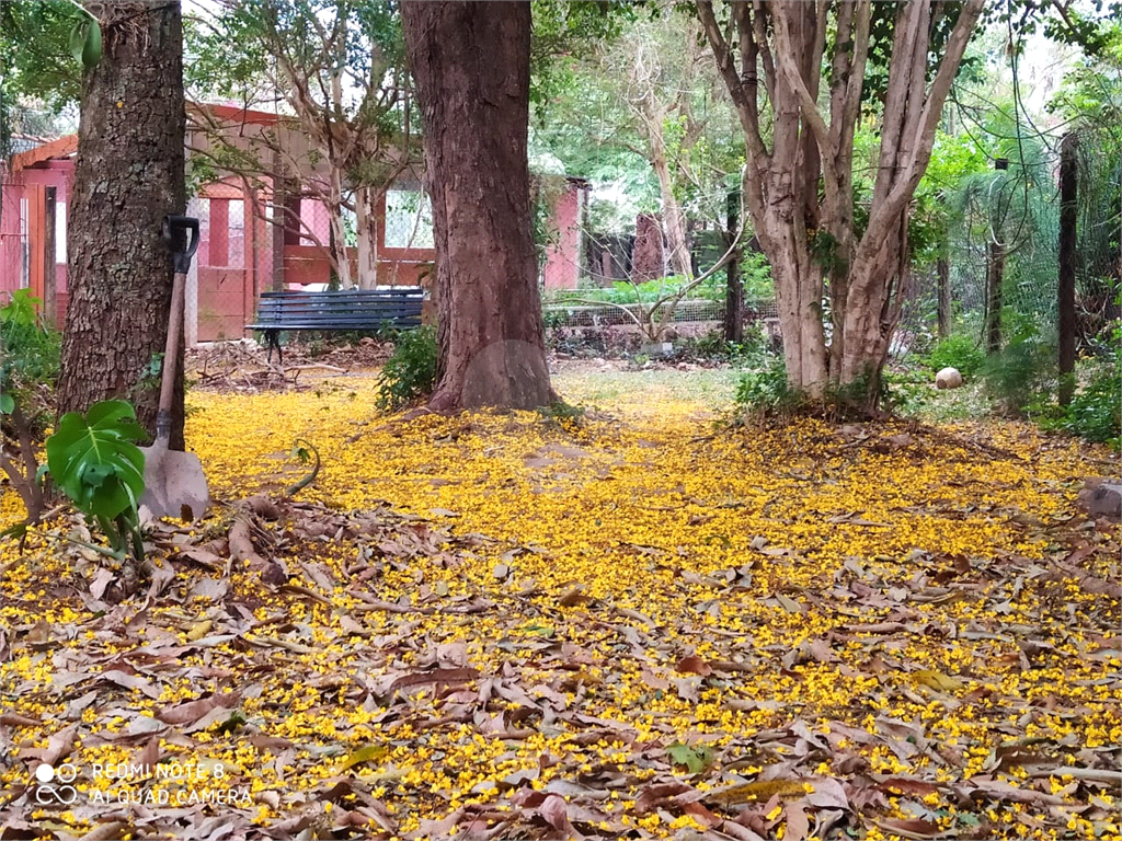 Fazenda à venda com 3 quartos, 250m² - Foto 15