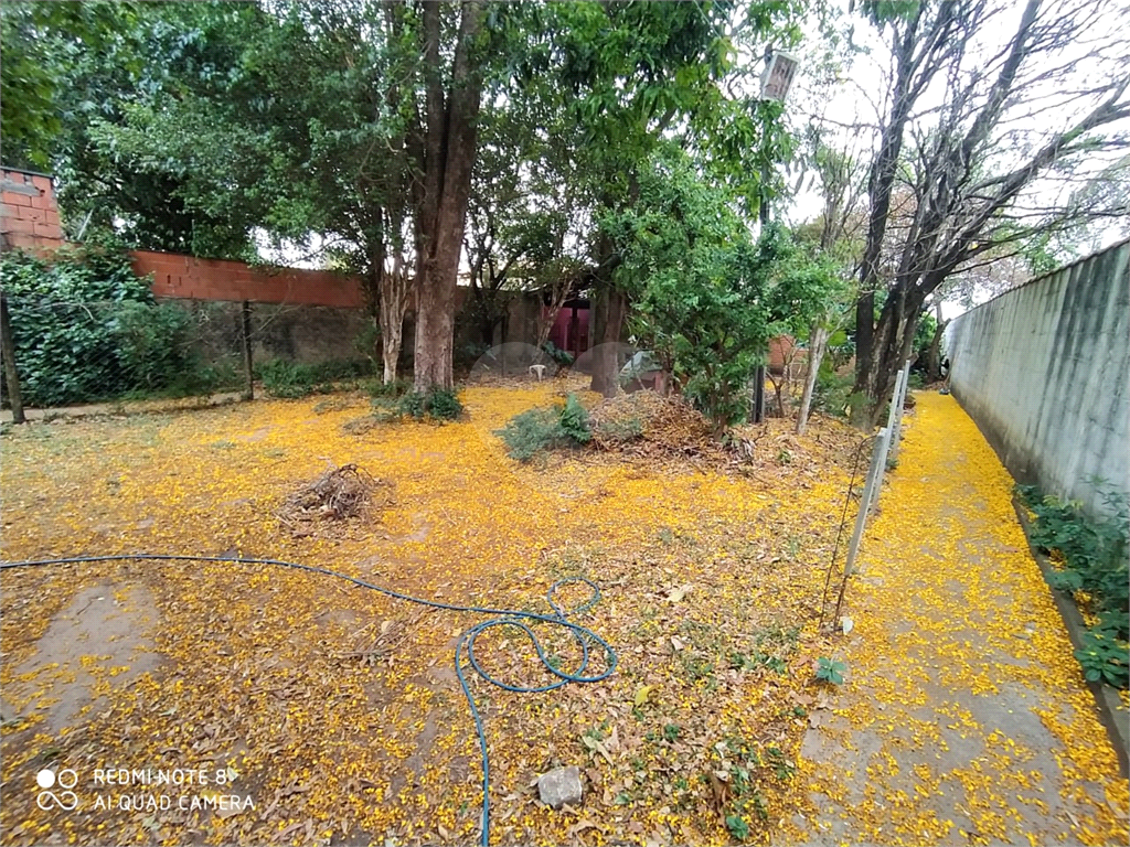 Fazenda à venda com 3 quartos, 250m² - Foto 16