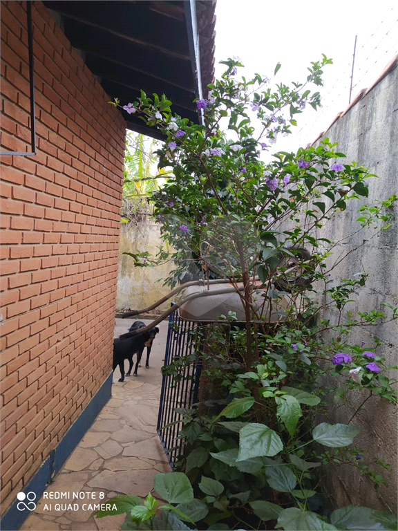 Fazenda à venda com 3 quartos, 250m² - Foto 22