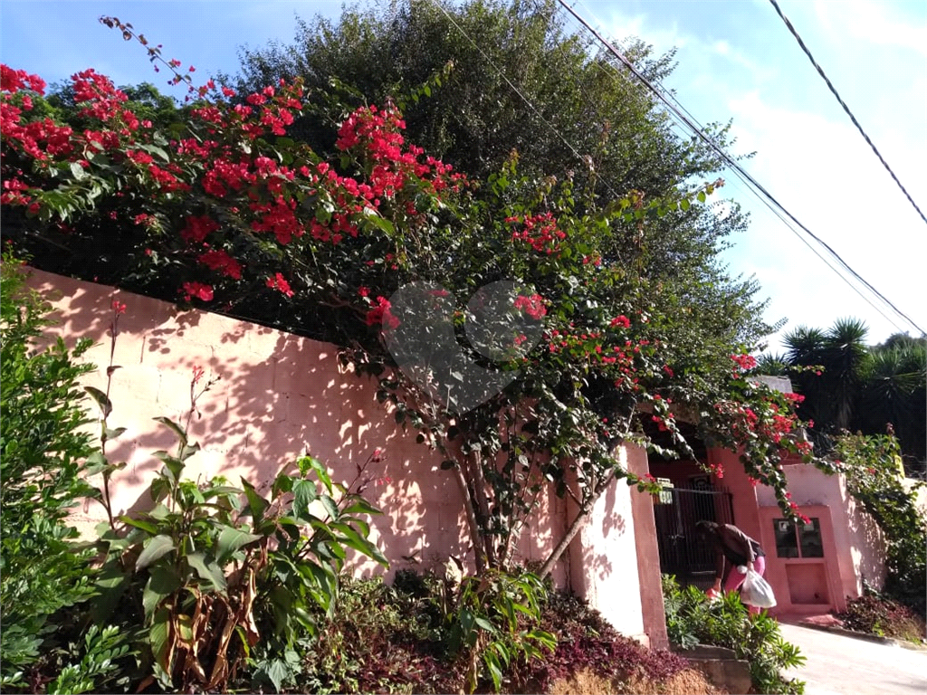Fazenda à venda com 3 quartos, 250m² - Foto 36