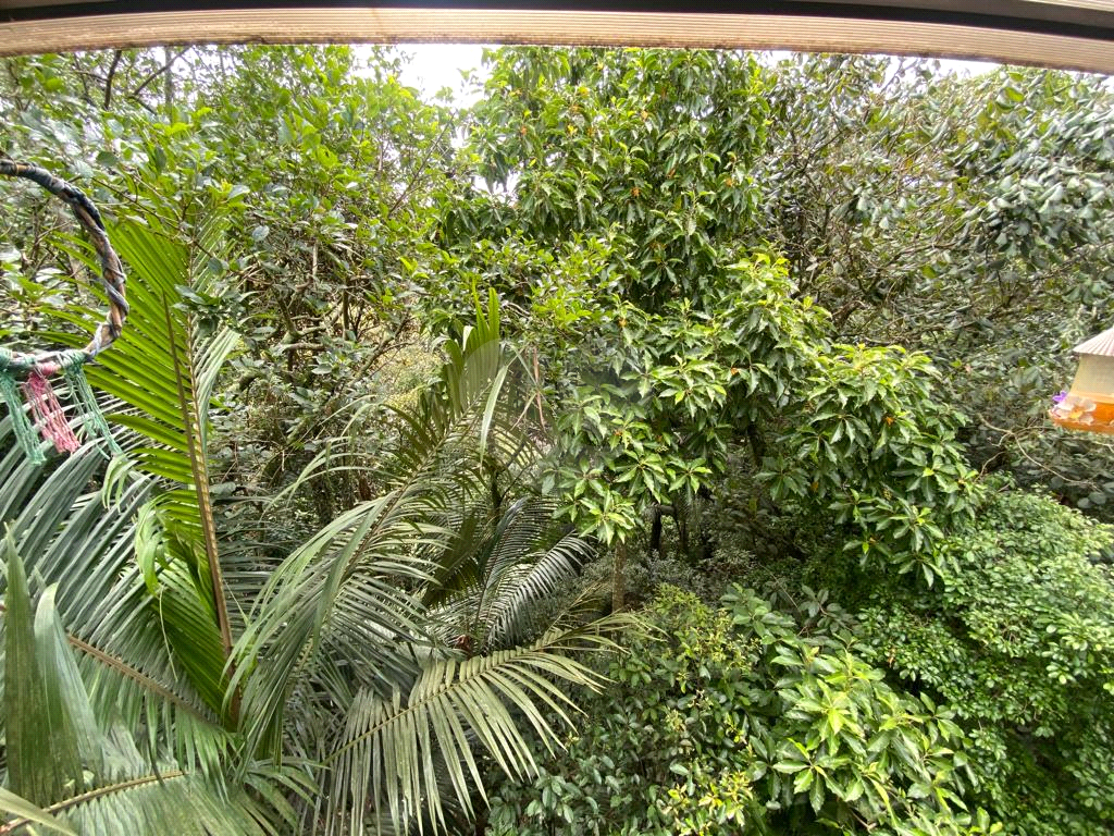 SOBRADO em SERRA DA CANTAREIRA