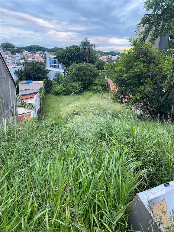 Terreno  812m² - Butantã