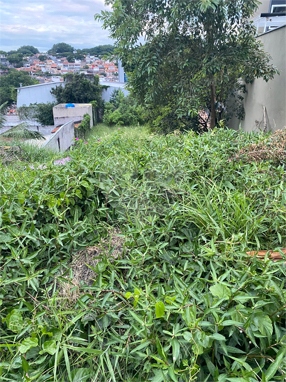 Terreno  812m² - Butantã