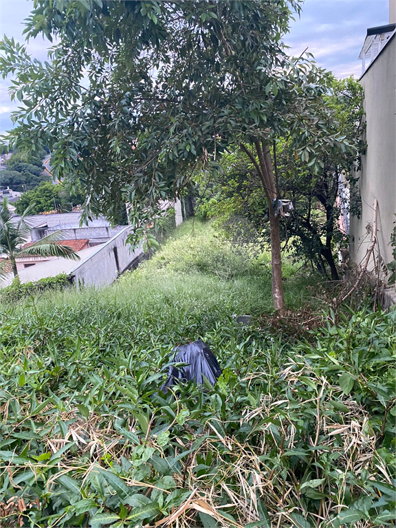 Terreno  812m² - Butantã