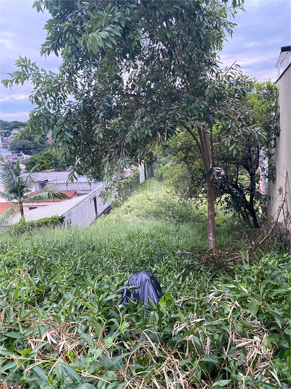 Terreno  812m² - Butantã