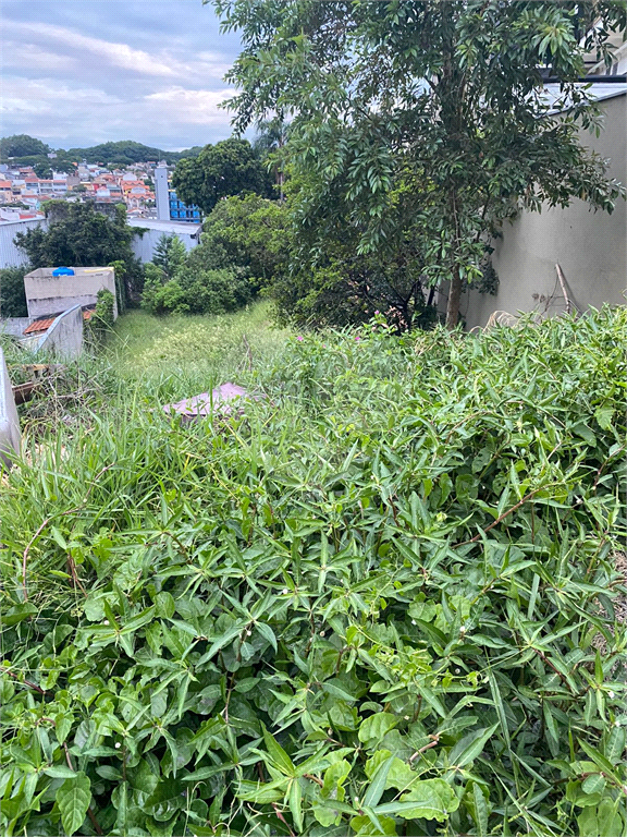 Terreno  812m² - Butantã