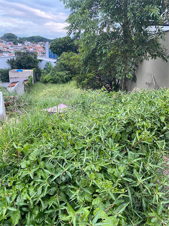 Terreno  812m² - Butantã