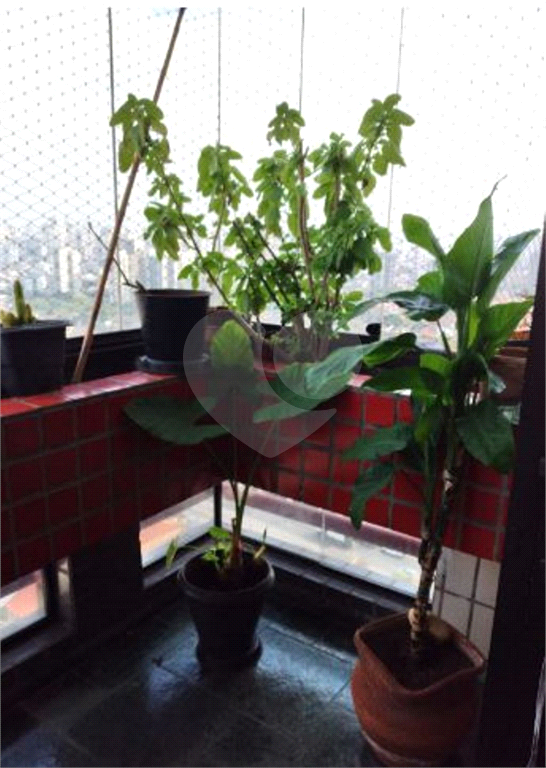 APARTAMENTO em SAÚDE