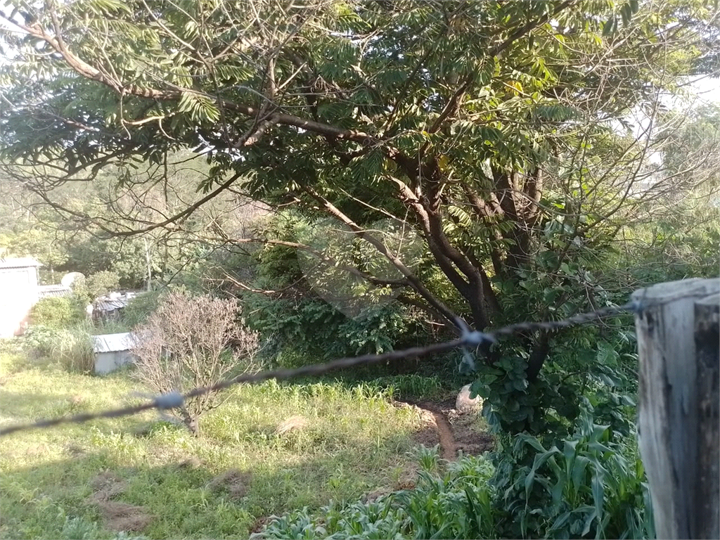 Terreno à venda, 3702m² - Foto 2