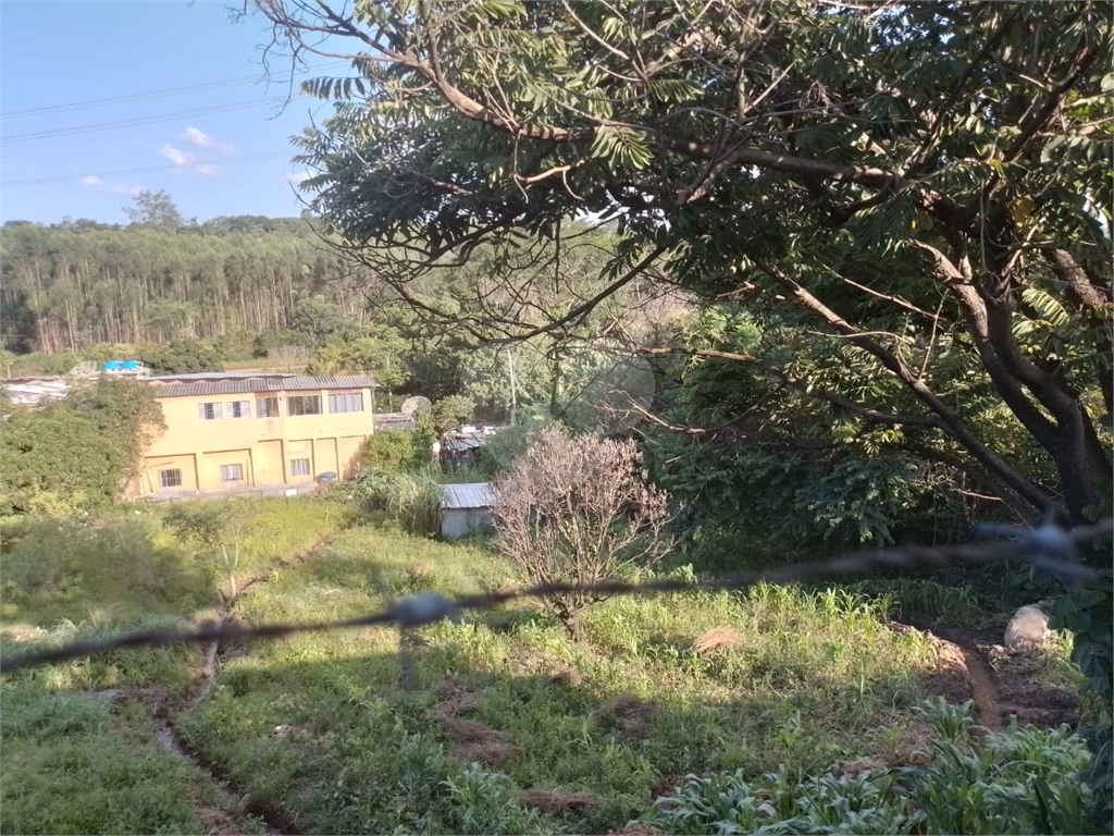 Terreno à venda, 3702m² - Foto 4