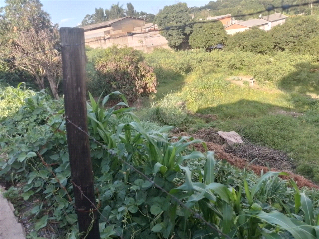 Terreno à venda, 3702m² - Foto 5