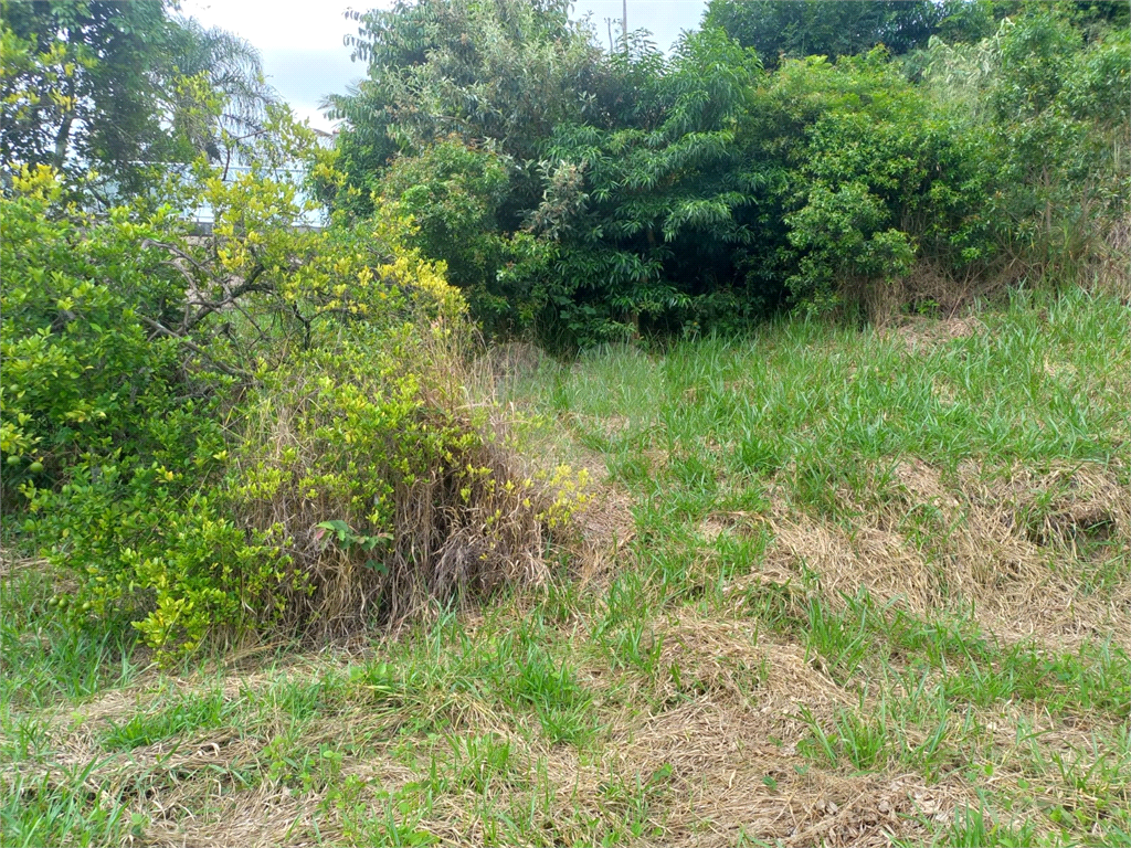 Terreno à venda, 1300m² - Foto 16
