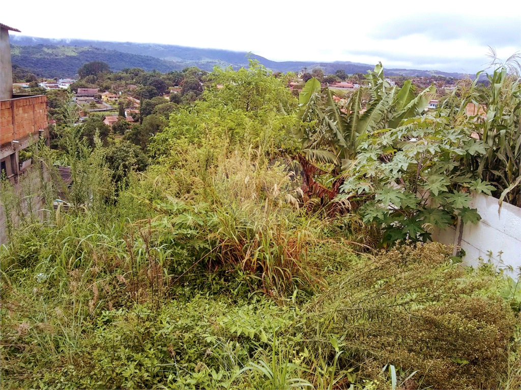 Terreno à venda com 1 quarto, 475m² - Foto 6