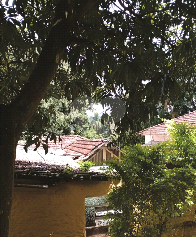 Casa Térrea Tremembé