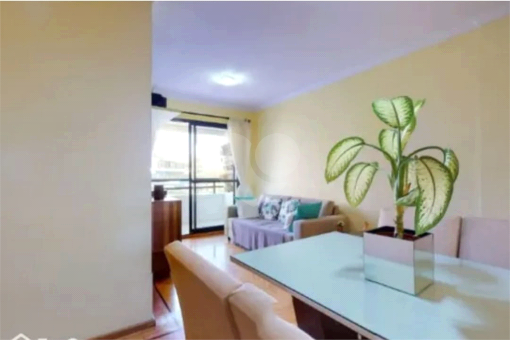 excelente apartamento no morumbi