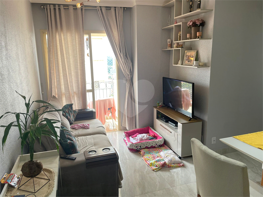 Apartamento zona norte - mandaqui, zumkeller